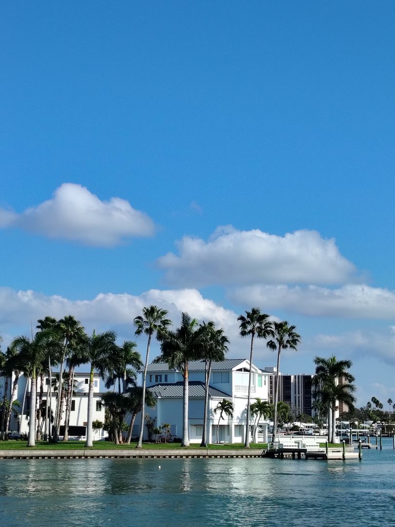 Waterfront homes and palms on calm Gulf water at dusk